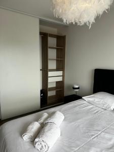 Appartements T2 climatise a Porticcio, 100m de la plage wifi fibre : photos des chambres