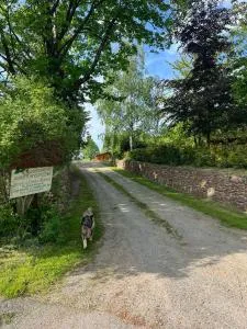 Agroturystyka Lucyna Babińska - Radków