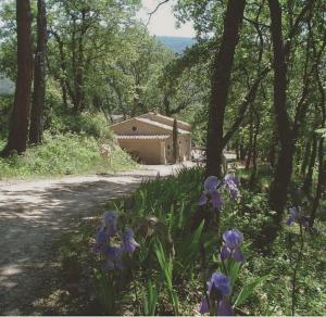 Magnifique villa avec piscine dans le Luberon
