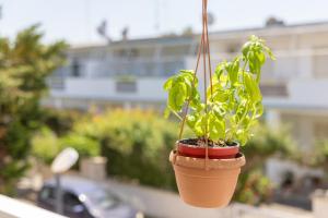Macalù - Seaside Escape near Lecce