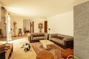 B&B / Chambres d'hotes Aux Truffes de Combecave : photos des chambres