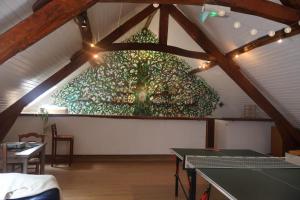 Auberges de jeunesse Solfe Backpacker : photos des chambres