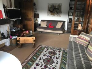 Charming Apartment ideal for families