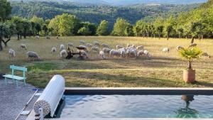 B&B / Chambres d'hotes Domaine La Garenne : photos des chambres