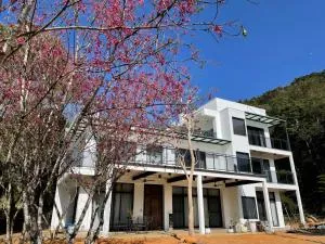 Dear house Homestay - Ch'ing-liu-she