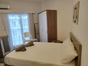 A Superb Studio Apartment