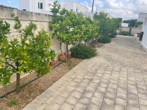 Cactus e ulivi villa a Speziale