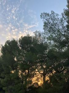 Le Souvenir - maison climatisée & bassin méditerranéen