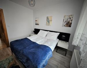 Apartament Haller