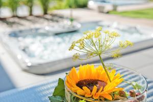 ZeiTraum Ferienwohnung Hohe Stein