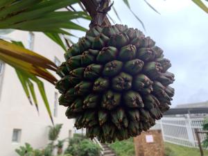 Chesapeake Bay Beach Heaven