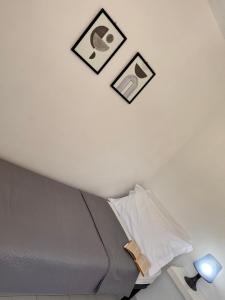 Appartamenti Le Mimose img62