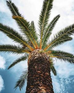 seaview apartment - villa a’more