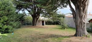 Villas Jolie villa avec jardin a proximite de la plage : Villa 2 Chambres :