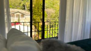 Loma Alta Hotel Boutique