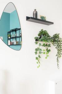 Cozy 2-Raumwohnung in Zentrumsnähe