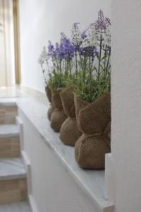 inHeart Apartment Chios