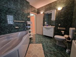 Apartments and room Suza