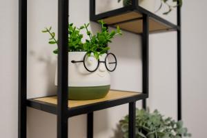 GreenForest Apartament Baile Felix