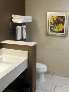Fairfield Inn & Suites by Marriott Austin Buda