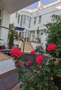 Fitness House with garden