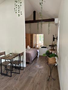 Appartements Splendide logement avec Spa - Balneo et Sauna privatif : photos des chambres