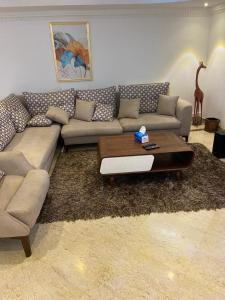 Luxury apartment Cairo Nile River