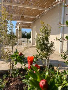 Bellamora country apartments