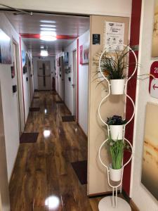 N&Z HOTELS : photos des chambres