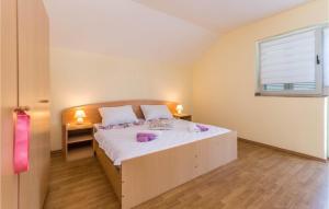 Awesome Home In Benkovac With Wifi 