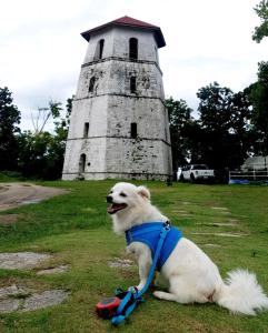 Sapphire Boutique Resort