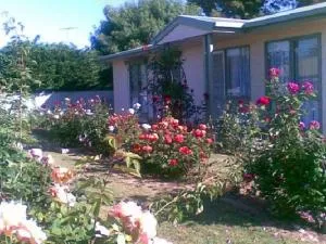 Sea Rose - Port Vincent - Port Julia