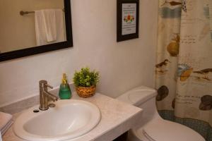 Casa Flamingos Altabi