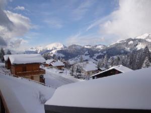 Chalet Savoyard 8 pers, proche pistes, parking - FR-1-733-1