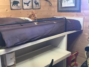 Chalets Chalet bois 9 pers, Grand confort, pres pistes et commerces, Wi-Fi, Equipe, Parking, Non fumeur - FR-1-733-18 : photos des chambres