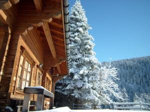 Chalets Chalet bois 9 pers, Grand confort, pres pistes et commerces, Wi-Fi, Equipe, Parking, Non fumeur - FR-1-733-18 : photos des chambres