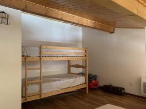 Appartement duplex spacieux au pied des pistes avec parking - FR-1-733-81