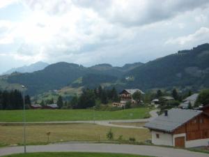 Charmant appartement 2P pour 5 pers, à deux pas des pistes, balcon, cuisine équipée, parking, animaux ok - FR-1-733-90