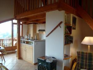 Duplex agréable 8 pers à 100m des pistes - FR-1-733-95