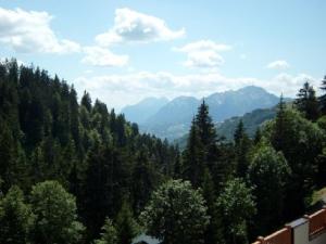Appartements Appartement 6 pers avec piscine, 2 chambres, parking, Crest-Voland - FR-1-733-130 : photos des chambres