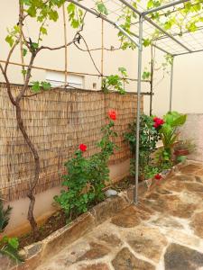 Giorgos Studio
