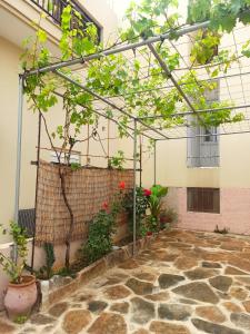 Giorgos Studio