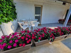 Casa Alba Paestum