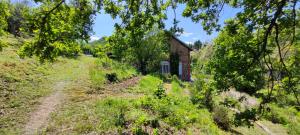 Gîte familial de la Bastide du puech