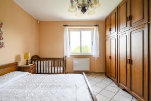 La Collina degli Ulivi img10