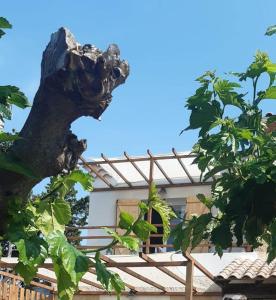 Maisons d'hotes L'EN HAUT : photos des chambres