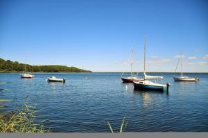 Maisons de vacances maison en bois a 40m du lac : Maison 3 Chambres