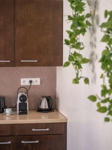 Appartements Nouveau - L'Entre Nous - Europa Park : photos des chambres