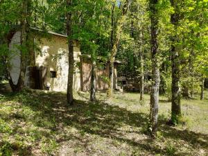 Maisons de vacances Le gite de la cabane de l'oiseau : photos des chambres