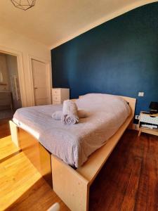 Appartements Spacieux Cosy : photos des chambres